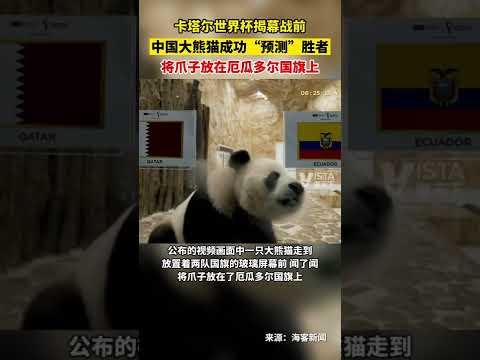 夜幕球场,中国男篮,激战正酣,欧博娱乐,欧博娱乐官网,欧博娱乐官网玩家首选